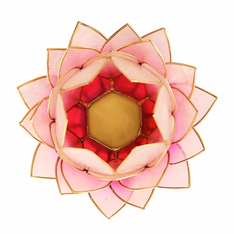 Lotus Bud Vit/Rosa/guld 15 cm
