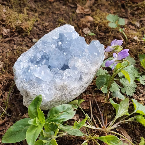Kluster av Celestite, 805 g. Detta ex.