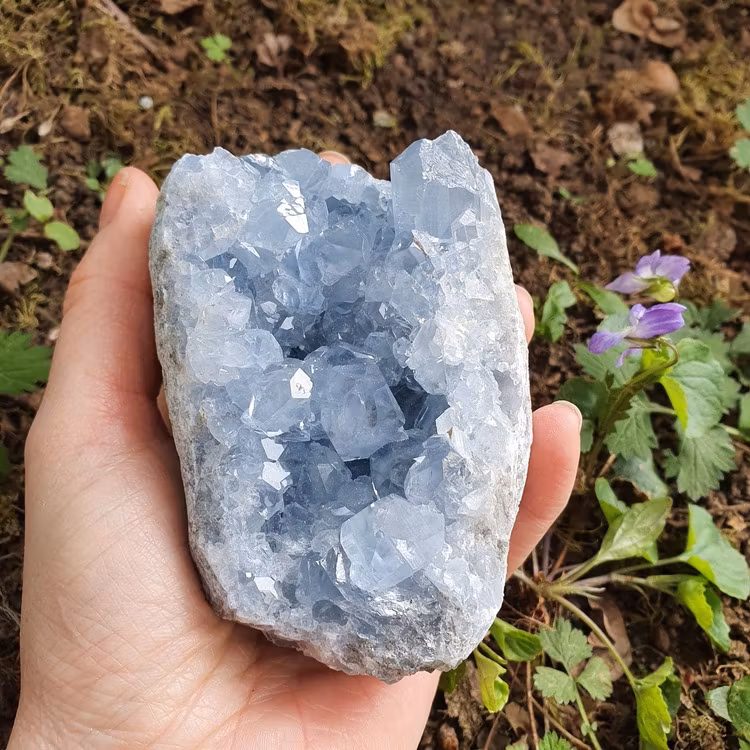 Kluster av Celestite, 805 g. Detta ex.