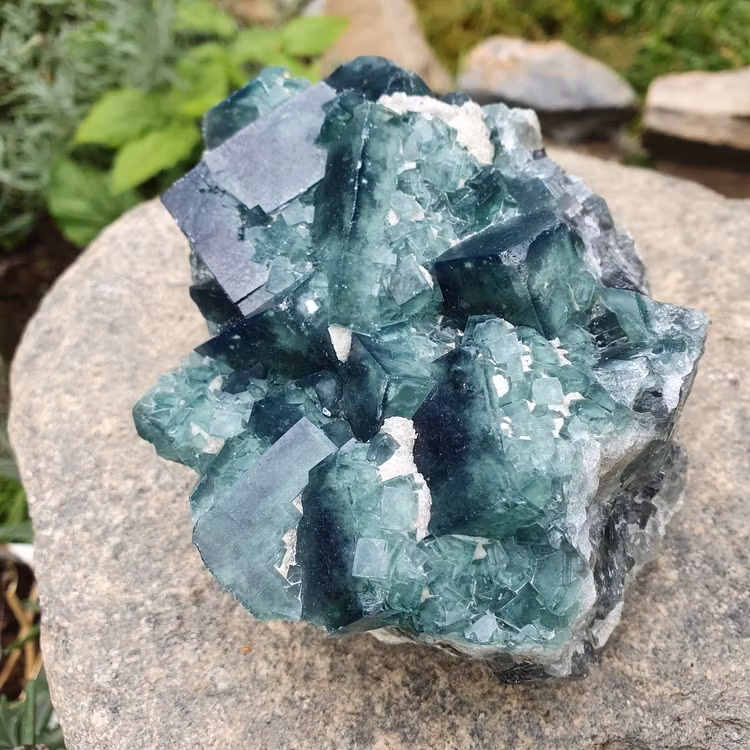 Kluster av Grön fluorit 945 g. Detta ex
