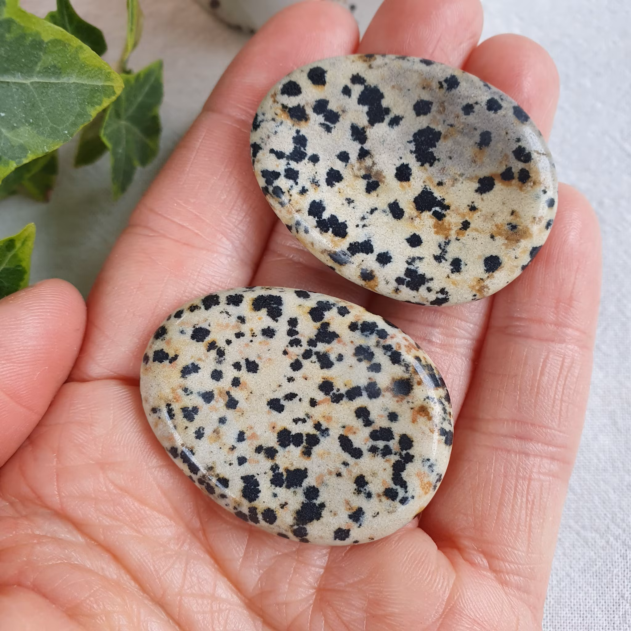 No worry stone av Dalmatiner Jaspis