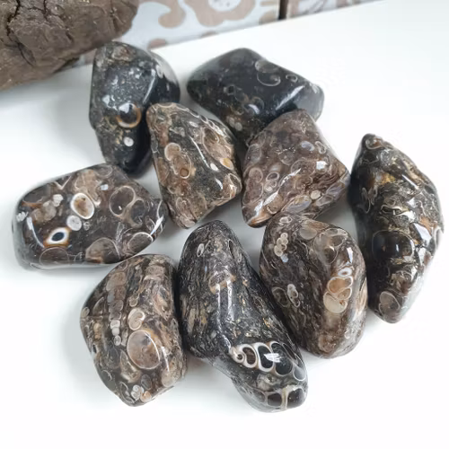 Trumlad Turitella Agat 16-23 g M