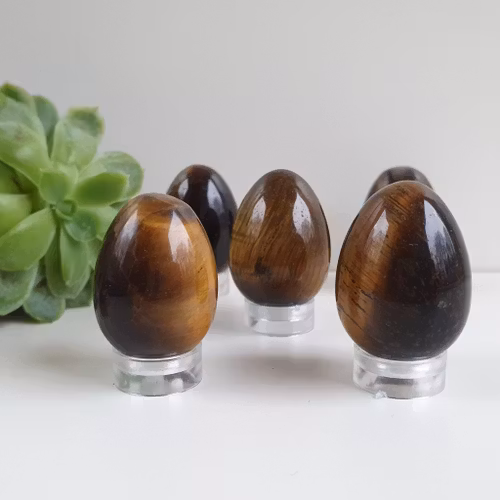 Ägg av Tigeröga 3 cm
