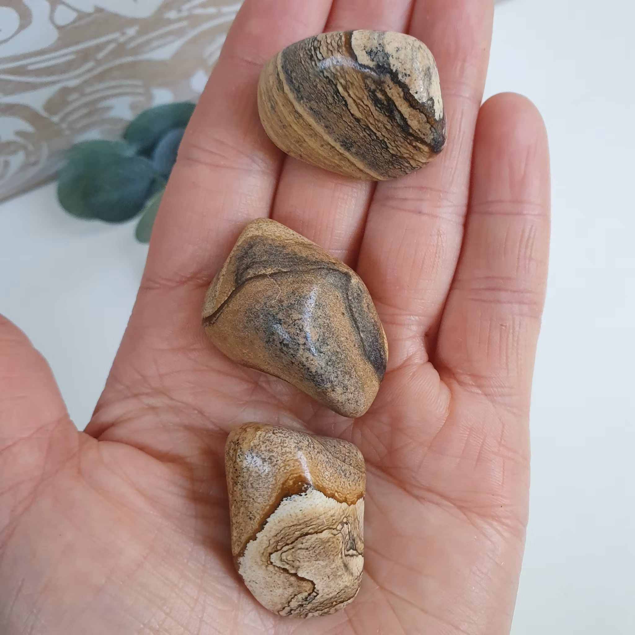 Trumlad Landskapsjaspis A 16-23 g M