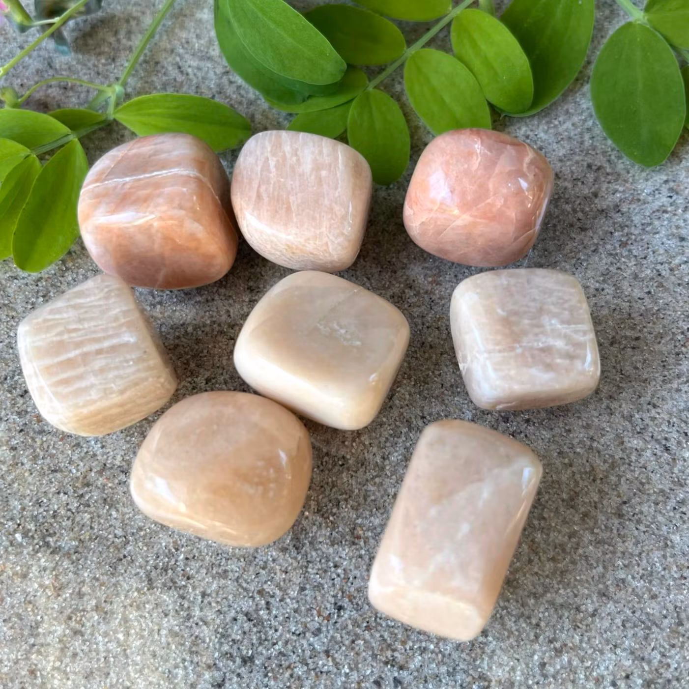 Trumlad Månsten 10-15 g S