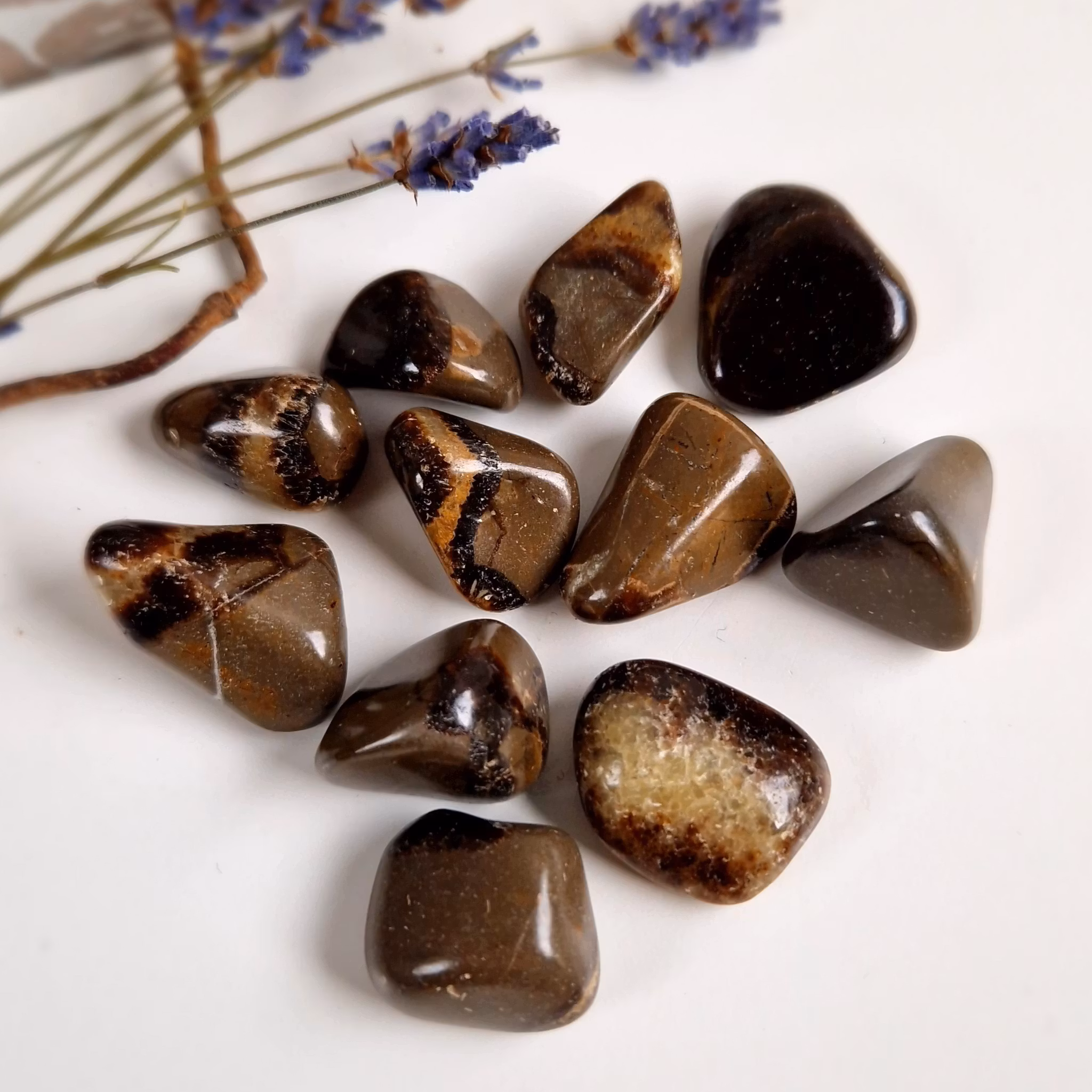 Trumlad Septarian 5-9 g XS. Vi väljer