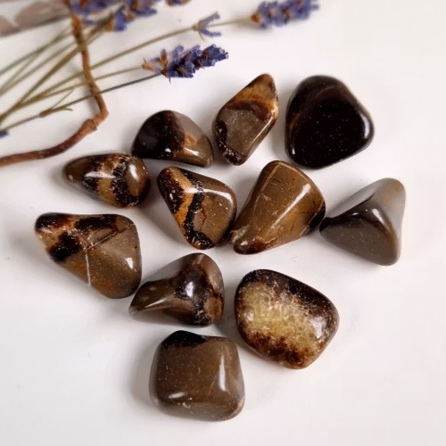 Trumlad Septarian 5-9 g XS. Vi väljer