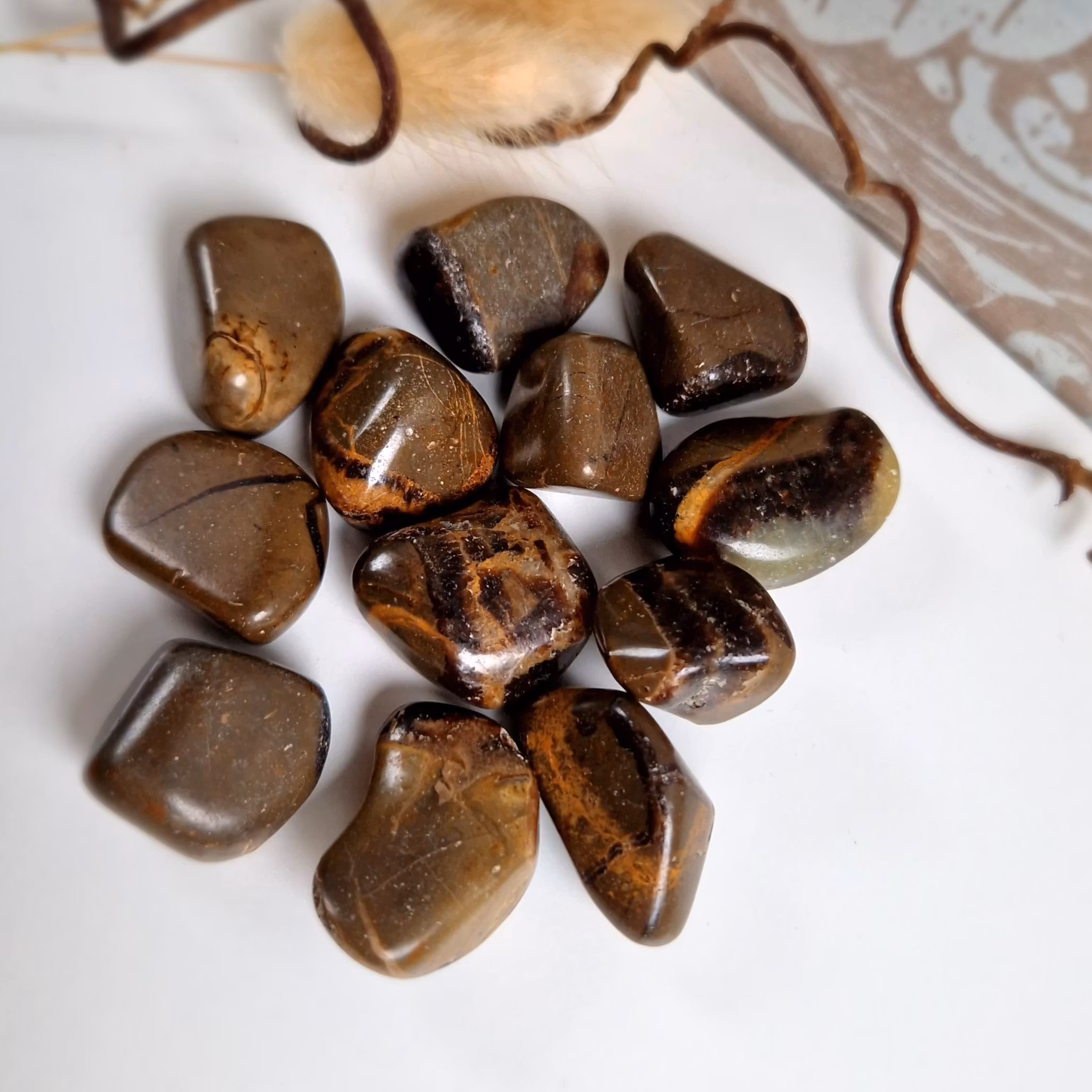 Trumlad Septarian 10-15 g S. Vi väljer