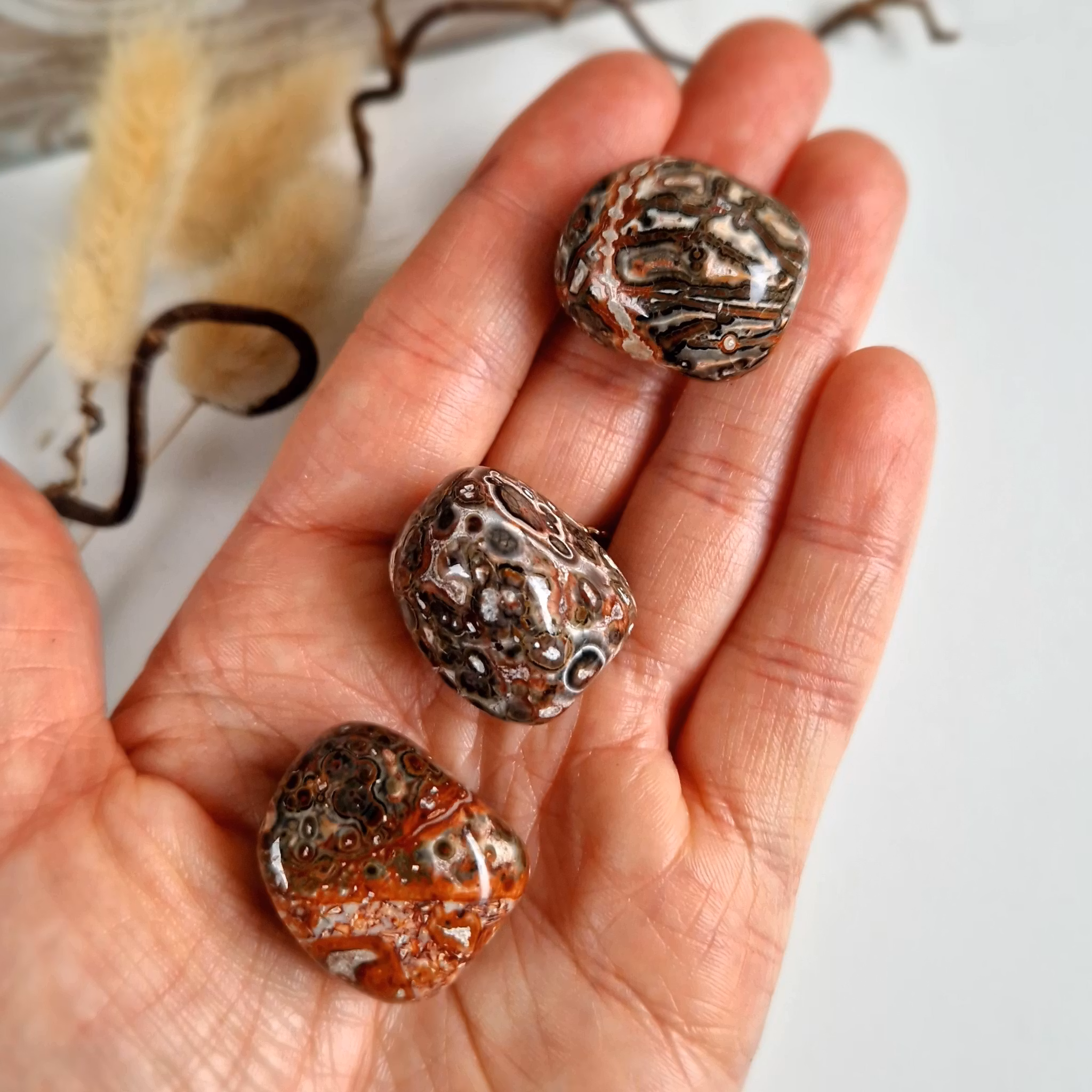 Trumlad Leopard Jaspis, 10-15 g S. Vi väljer.