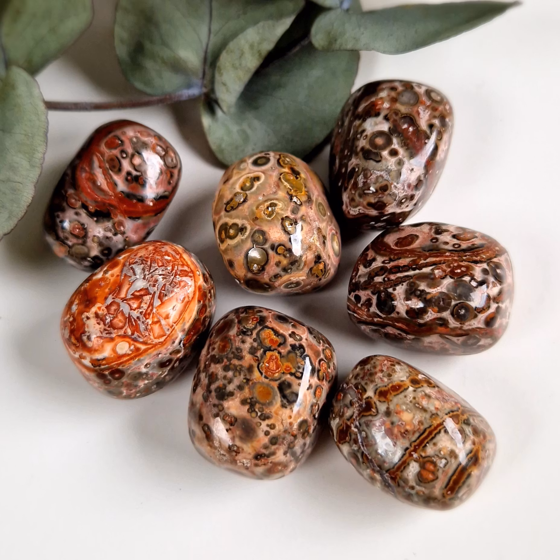 Trumlad Leopard Jaspis, 16-23 g M
