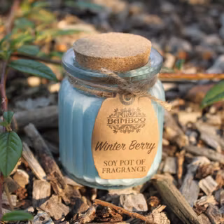 Doftljus av Sojavax Vinter Bär 20 H