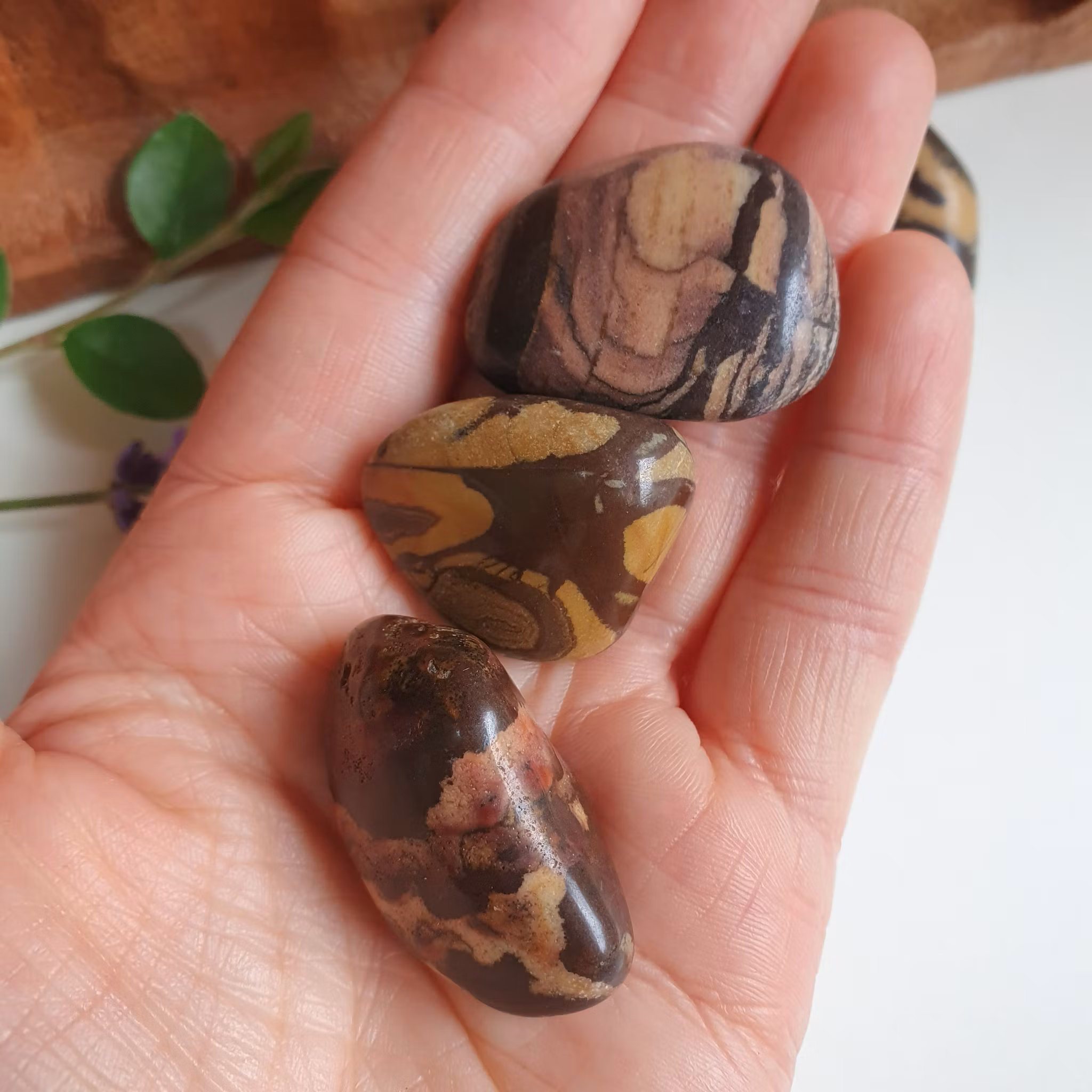 Trumlad Nguni Jaspis,16-23 g M
