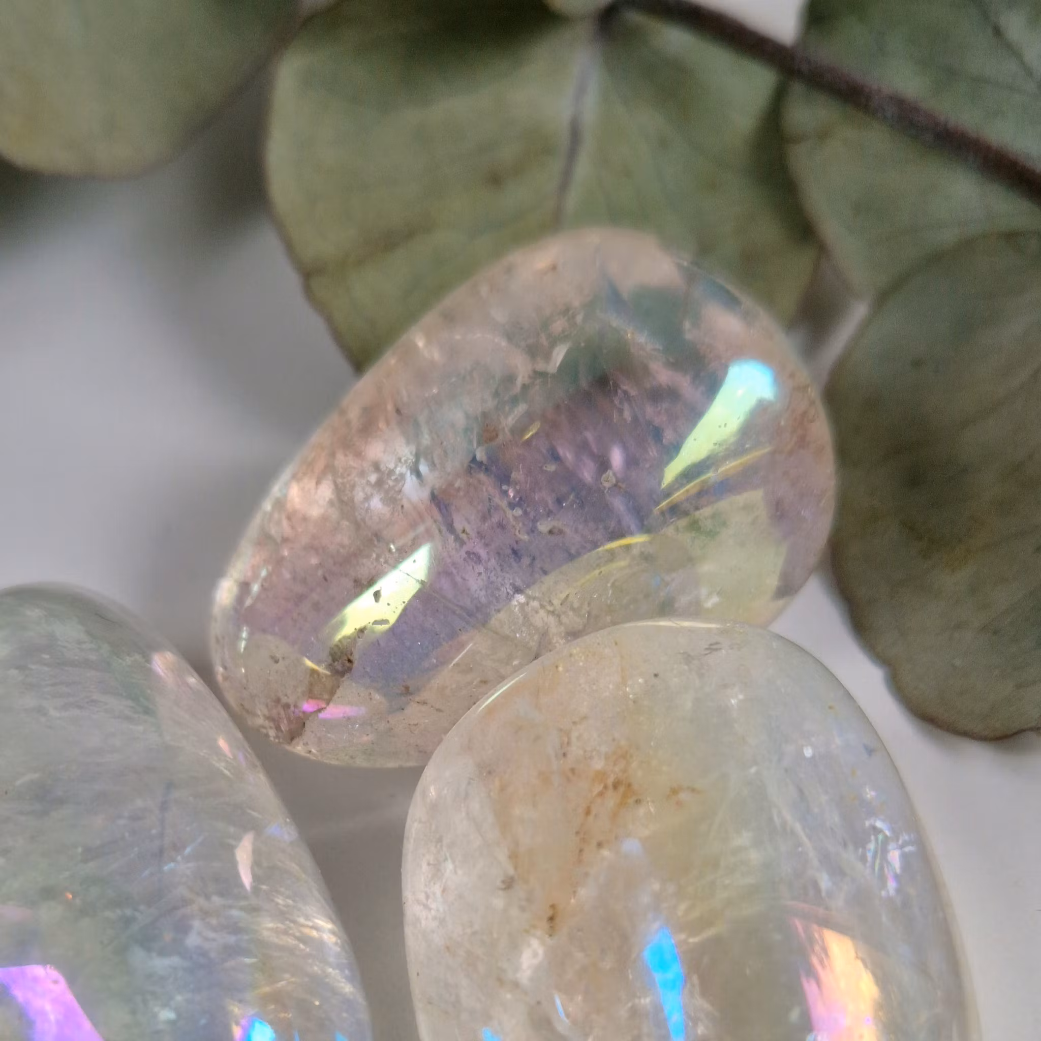 Trumlad Angel Aura 24-3 g L