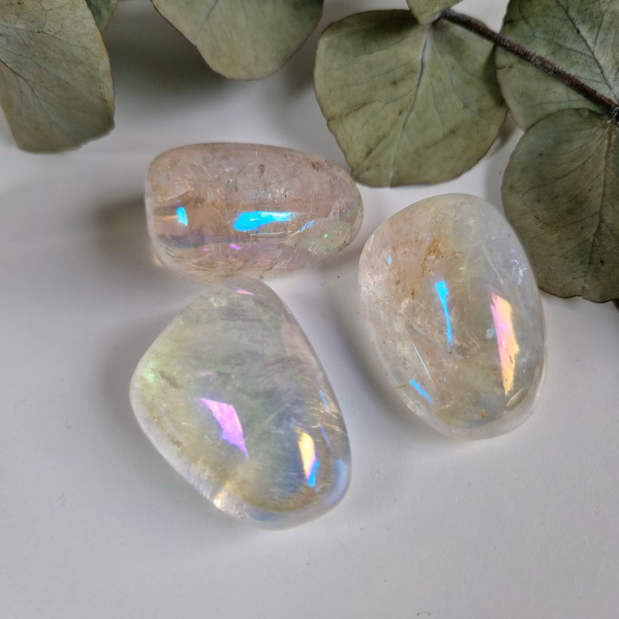 Trumlad Angel Aura 24-3 g L