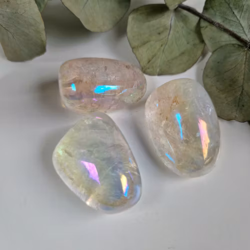 Trumlad Angel Aura 24-3 g L