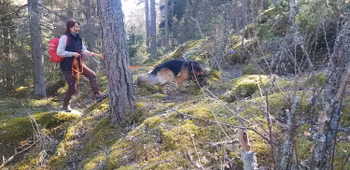 Spårkurser