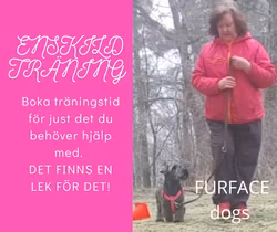 Enskild kurs