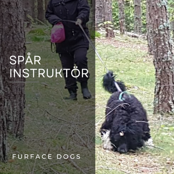 Spårinstruktör
