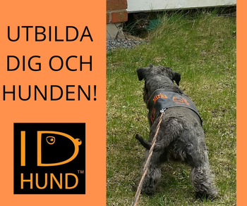 IDhund