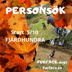 Personsök
