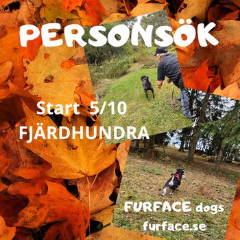 Personsök