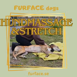 Massage och stretch