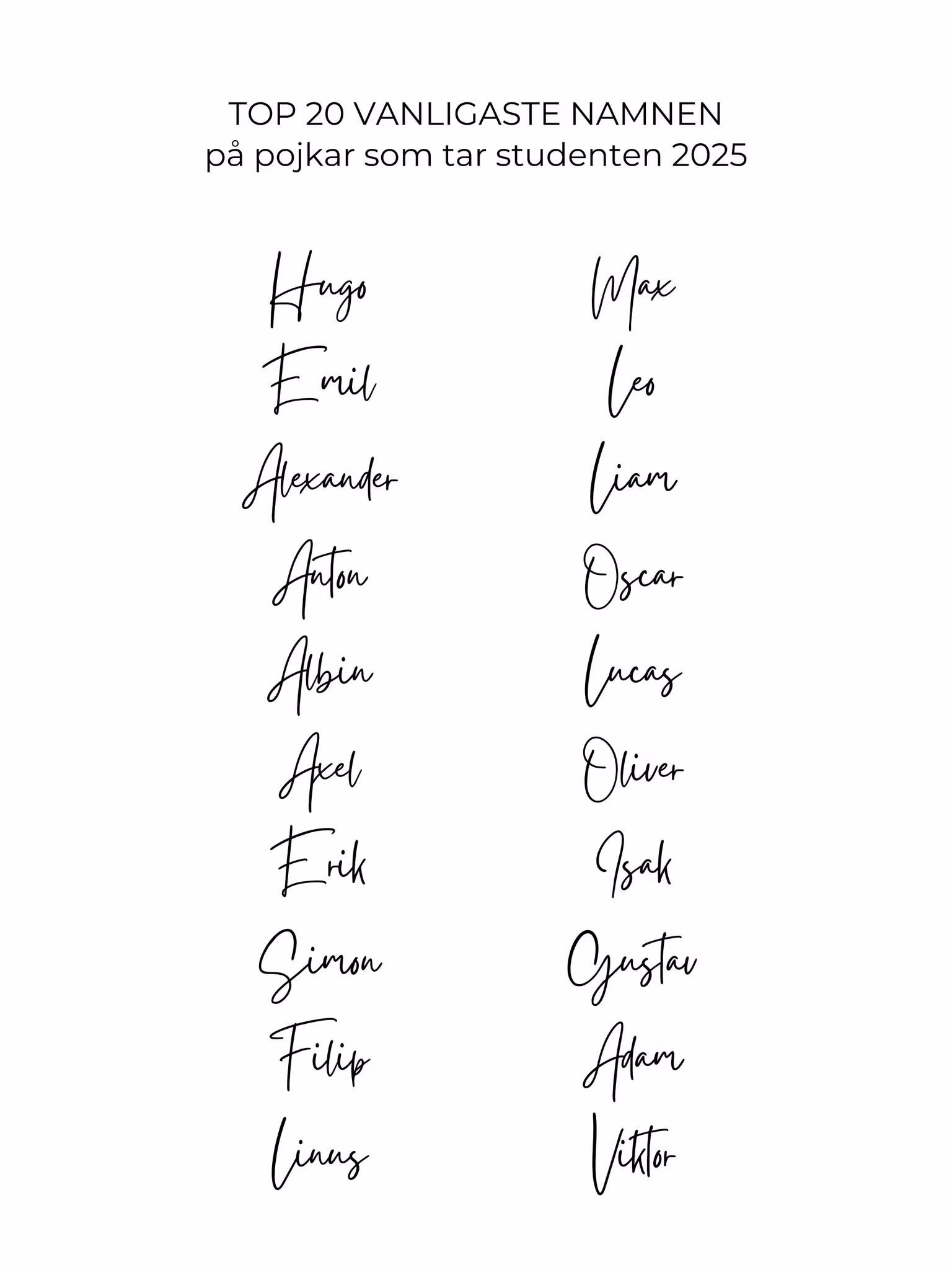 Svart Fickplunta, Student 2025