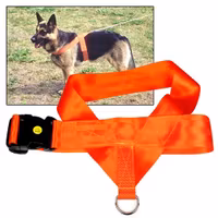Spårsele för hund,