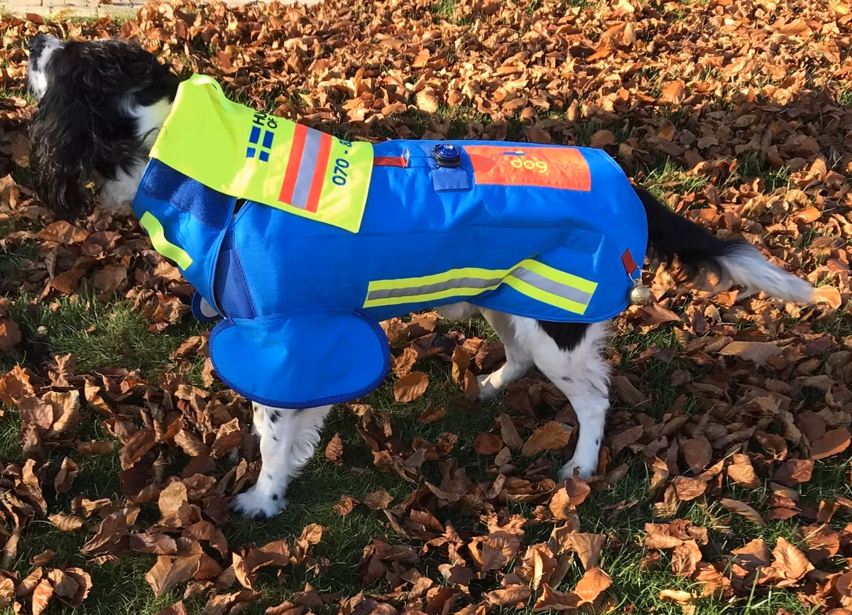 Vildsvinsvästen PRODOGTIVE Hound Protection Wear