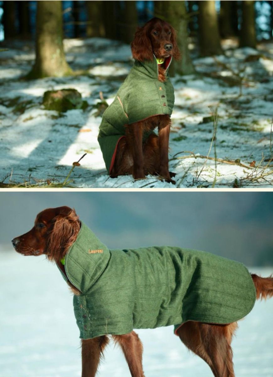 Prodogtive Värmeväst i Loden för hund. Superplagg!