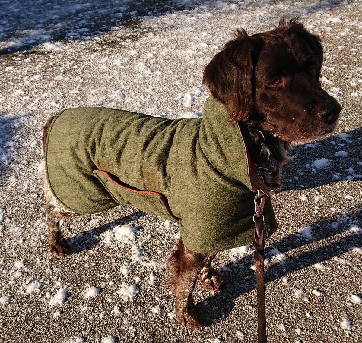 Prodogtive Värmeväst i Loden för hund. Superplagg!