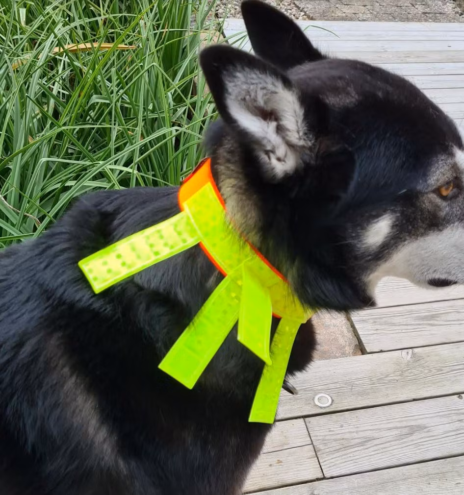 Reflexhalsband, med stretch, för hund. STORSÄLJARE!