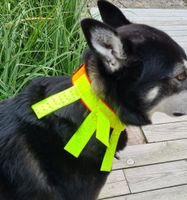 Reflexhalsband, med stretch, för hund. STORSÄLJARE!