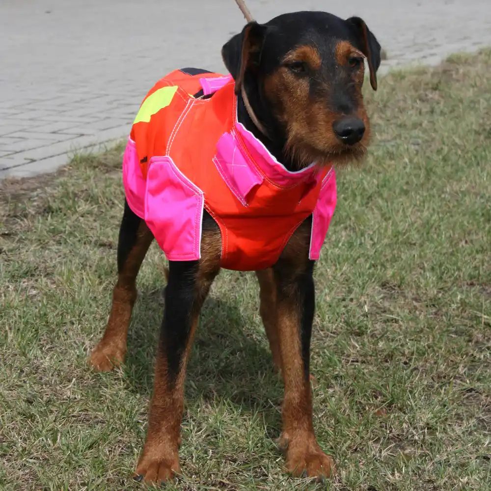 Outdogs omtyckta skyddsväst för hund! Fasta storlekar.