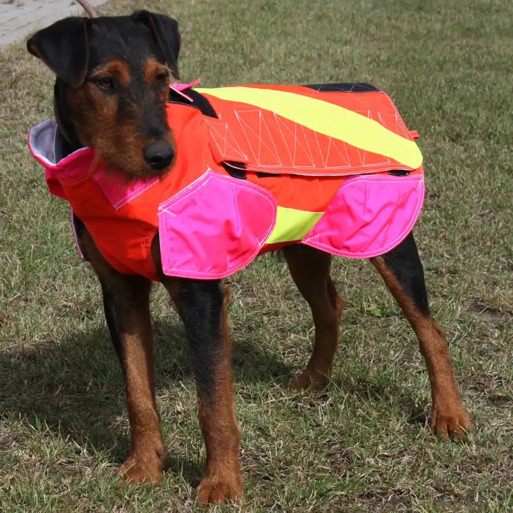 Outdogs omtyckta skyddsväst för hund! Fasta storlekar.