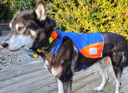 Scout Protector väst.