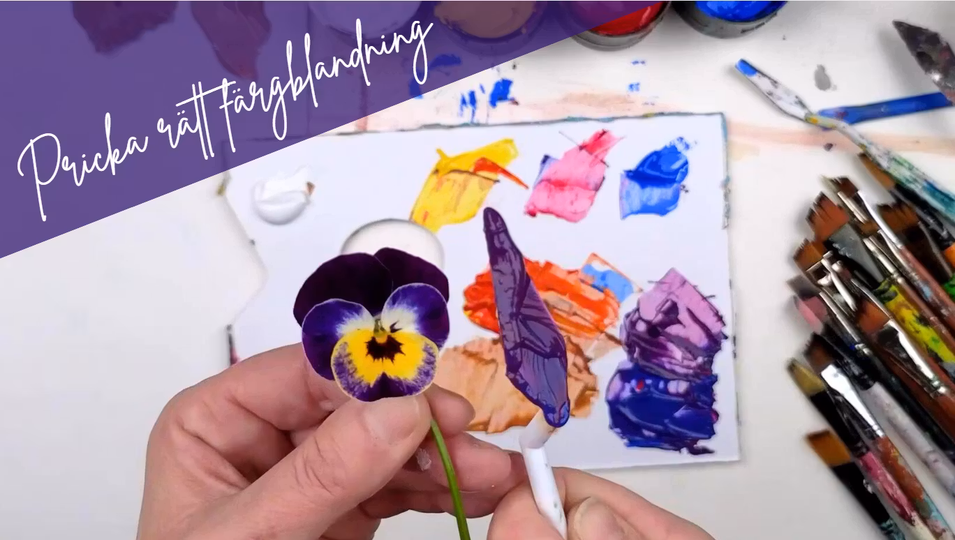 Pricka rätt färgblandning - 5 juli