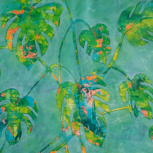Mine Monstera