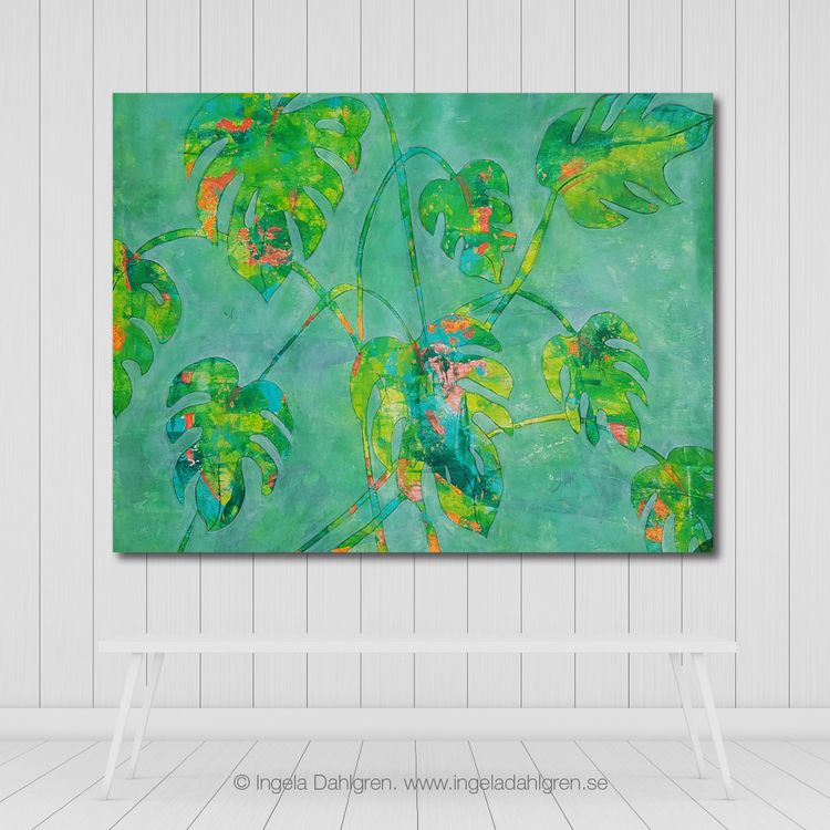 Mine Monstera