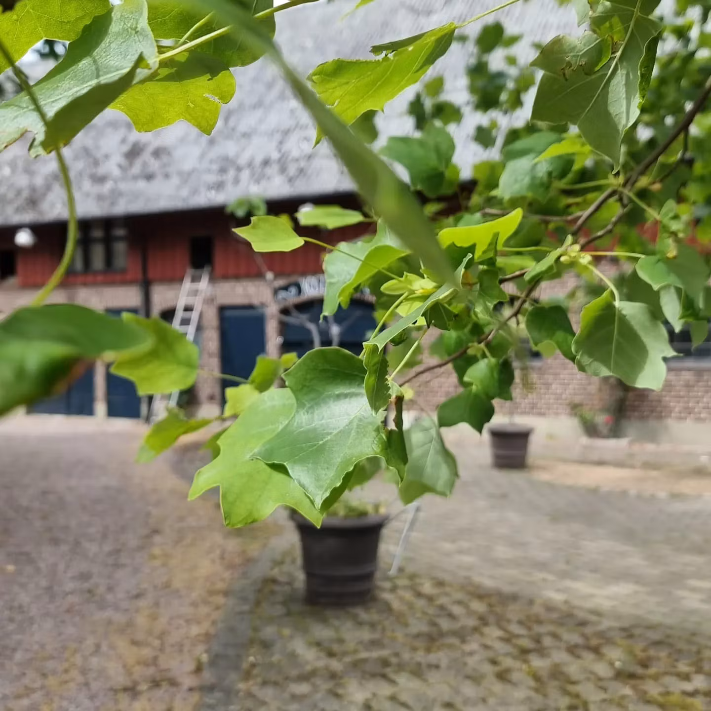 ArtCamp á la Skaparbubblan 2.0