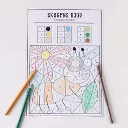 Färglägg med kod - Skogens djur