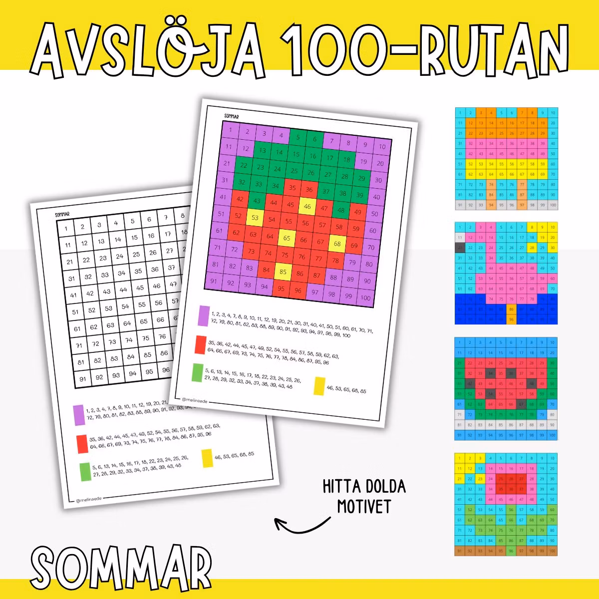 Avslöja hundrarutan - Sommar (pixlar 1-100)