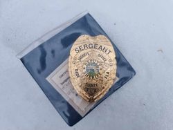Police badge sergeant FLA