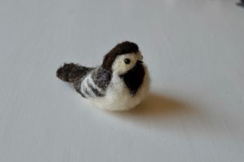 Fågel SÄDESÄRLA