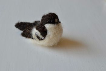 Fågel FLUGSNAPPARE