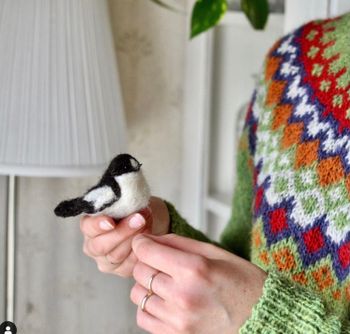 Fågel FLUGSNAPPARE