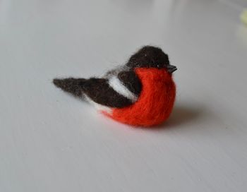 Fågel DOMHERRE