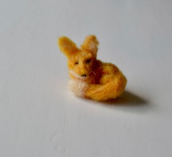 Räv