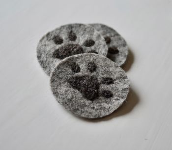 Muggunderlägg Tass