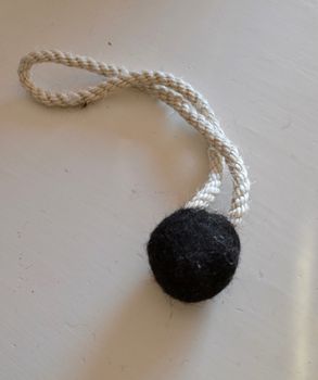 Kampleksak för hund